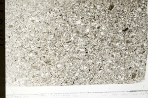 Plane Polarized, S72953