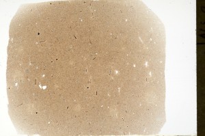 Plane Polarized, S73023