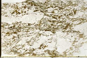 Plane Polarized, S73243