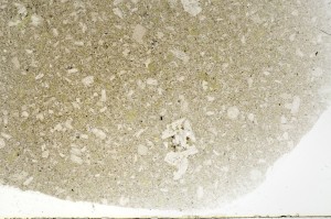 Plane Polarized, S73274