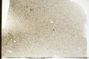 Plane Polarized, S73287