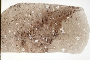 Plane Polarized, S73292