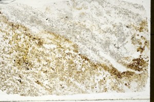 Plane Polarized, S73371