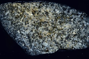 Cross Polarized, S73390