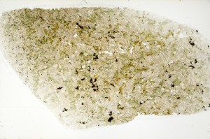 Plane Polarized, S73390