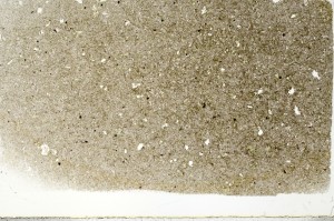 Plane Polarized, S73395