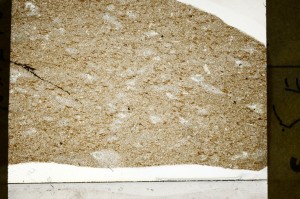 Plane Polarized, S73404