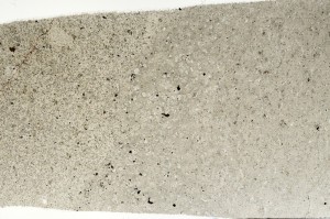 Plane Polarized, S73455