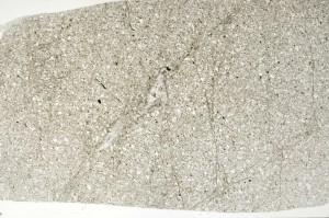 Plane Polarized, S73462