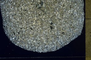 Cross Polarized, S73499