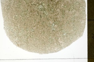 Plane Polarized, S73499