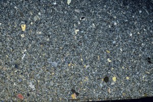 Cross Polarized, S73500