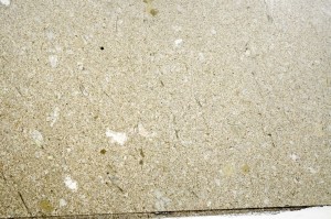 Plane Polarized, S73500