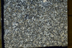 Cross Polarized, S73518