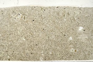 Plane Polarized, S73540