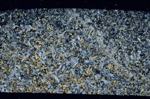 Cross Polarized, S73542