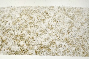 Plane Polarized, S73542