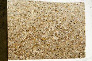 Plane Polarized, S73547