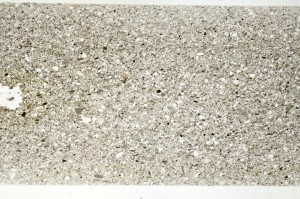 Plane Polarized, S73802