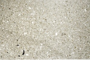 Plane Polarized, S73807