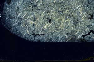 Cross Polarized, S73832