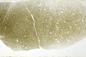 Plane Polarized, S73854