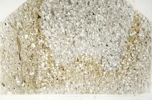 Plane Polarized, S74087