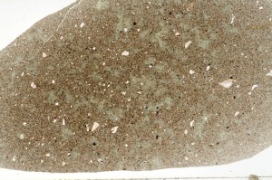 Plane Polarized, S74129