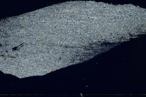 Cross Polarized, S74229