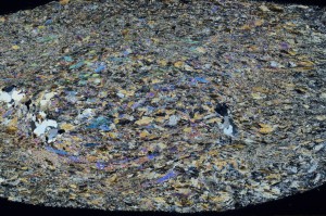 Cross Polarized, S74291