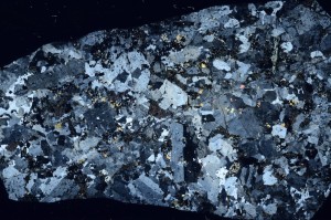 Cross Polarized, S74312