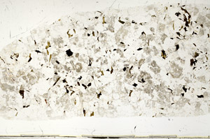 Plane Polarized, S74371