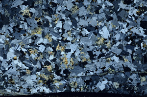 Cross Polarized, S74723