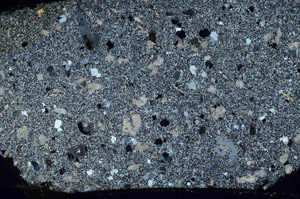 Cross Polarized, S74789