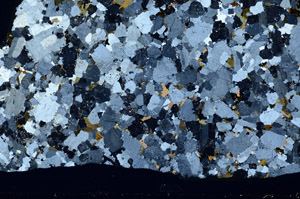 Cross Polarized, S74790