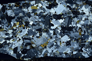 Cross Polarized, S74804