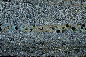 Cross Polarized, S74869