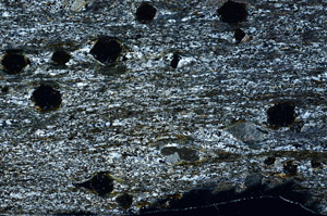 Cross Polarized, S74870