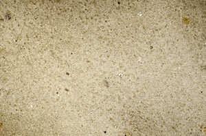 Plane Polarized, S74877