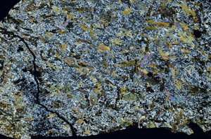Cross Polarized, S74890
