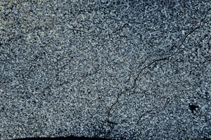 Cross Polarized, S74897