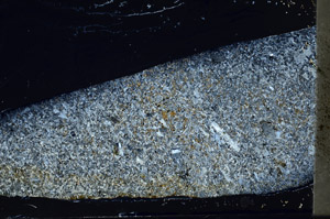 Cross Polarized, S74959