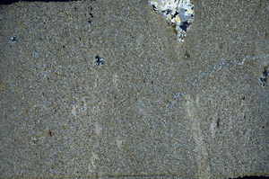 Cross Polarized, S74984