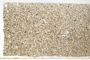 Plane Polarized, S75104