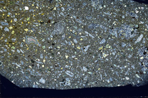 Cross Polarized, S75124