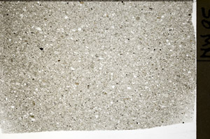 Plane Polarized, S75215