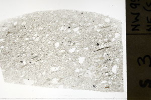 Plane Polarized, S75229