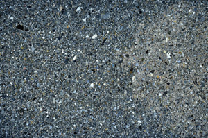 Cross Polarized, S75259