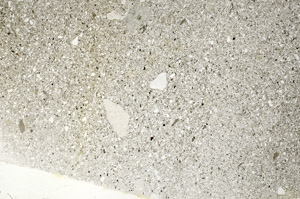 Plane Polarized, S75279