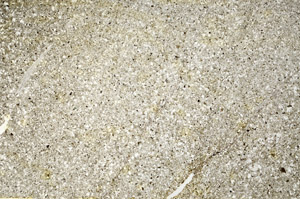 Plane Polarized, S75285